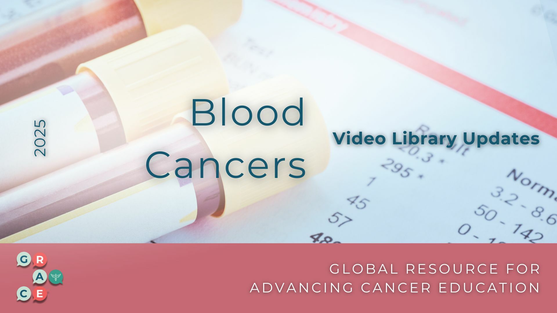 Blood Cancer Video Library 2024 