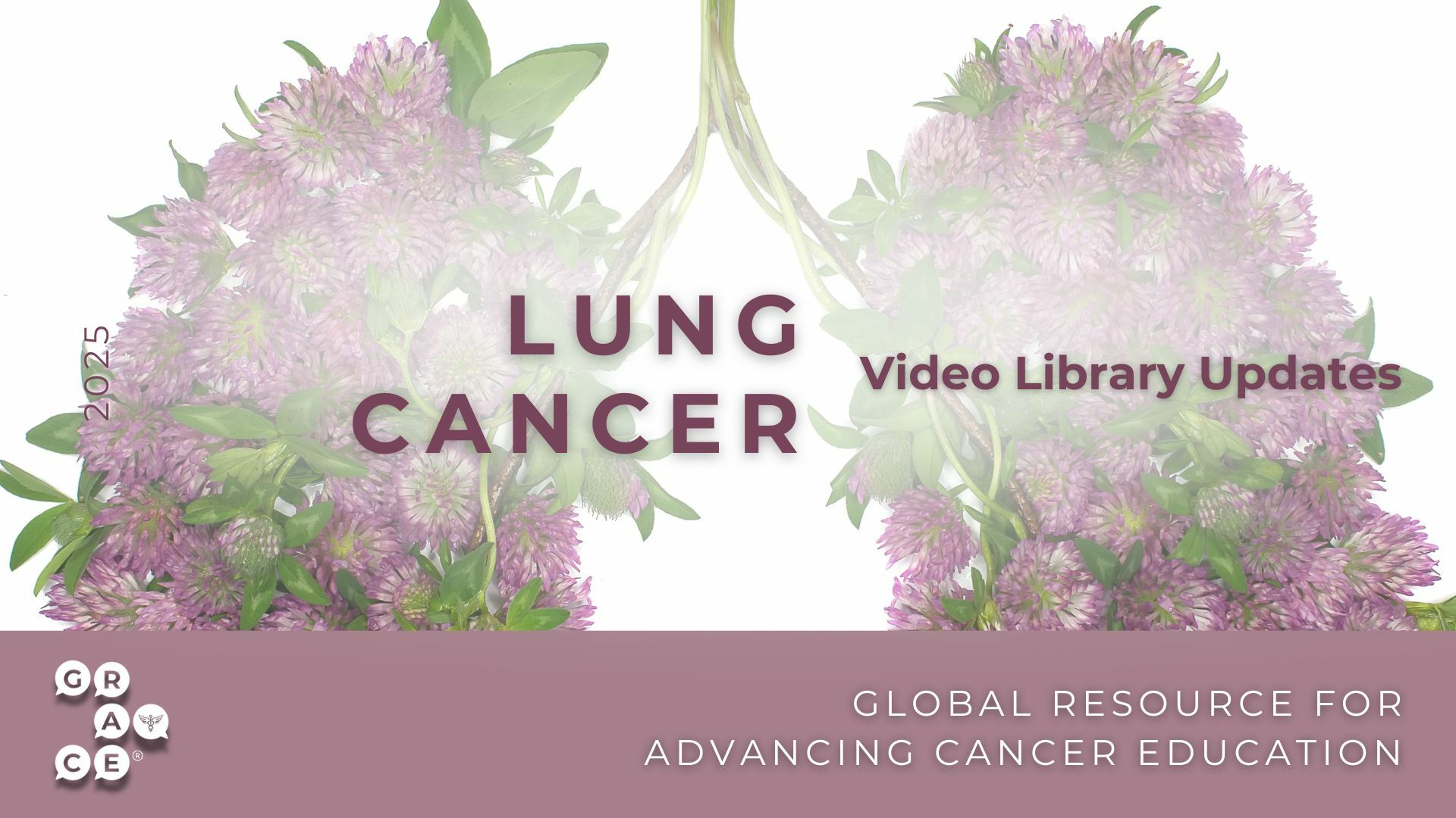 Lung Cancer video library 2025 